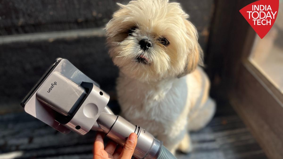 Dyson Pet Grooming Kit review Not for the faint hearted India Today